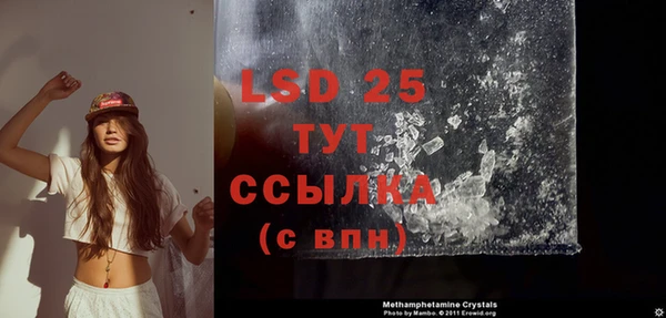 PSILOCYBIN Баксан